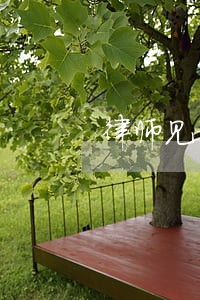 律师见证 房地产 律师见证 房地产